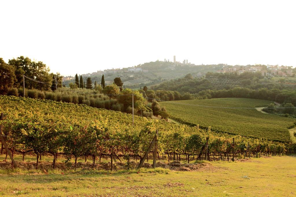 Podere Sant'Elena San Gimignano Exterior photo
